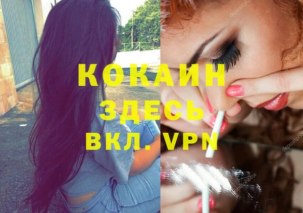 мяу мяу мука Болотное