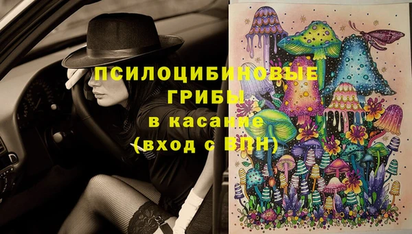 круглые Осташков