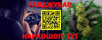 крисы Гатчина