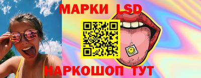 крисы Гатчина