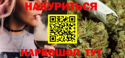 крисы Гатчина