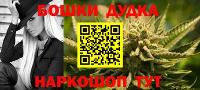 крисы Гатчина