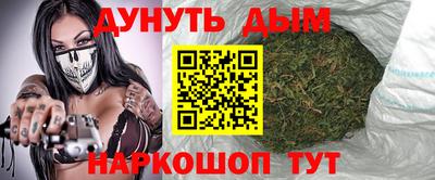 крисы Гатчина