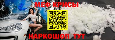 крисы Гатчина