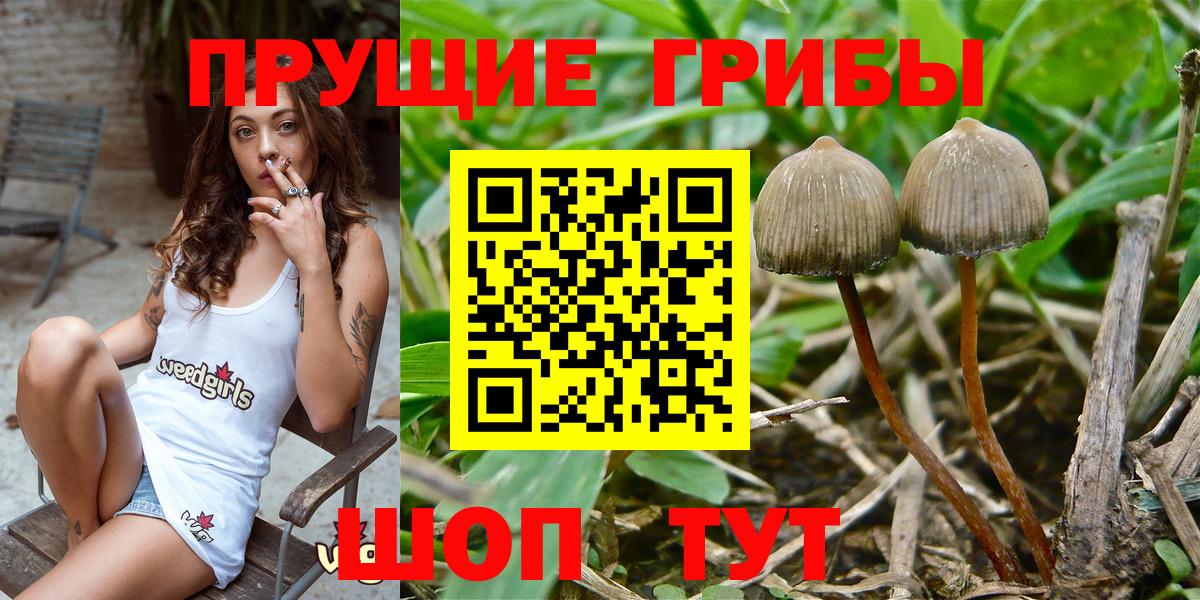 Псилоцибиновые грибы Magic Shrooms  Вход с VPN  Йошкар-Ола 