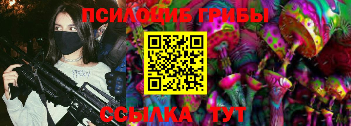 Галлюциногенные грибы Psilocybine cubensis Йошкар-Ола