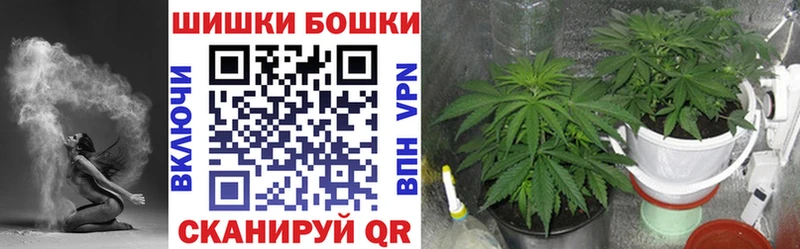 Шишки марихуана конопля  МЕГА как войти  Йошкар-Ола 